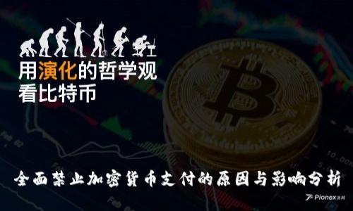 全面禁止加密货币支付的原因与影响分析