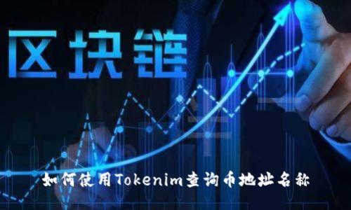 如何使用Tokenim查询币地址名称