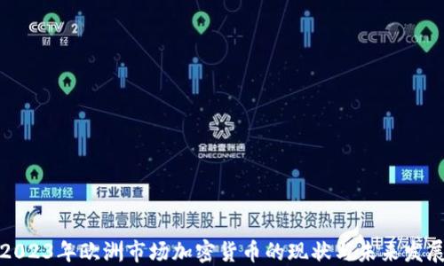 
2023年欧洲市场加密货币的现状与未来发展