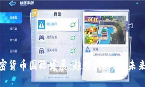 : 加密货币国际发展：趋势、挑战与未来机遇