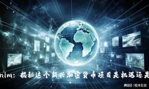 Tokenim: 揭秘这个新兴加密货币项目是机遇还是骗局