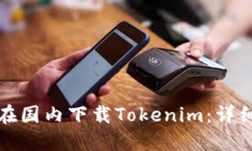 如何在国内下载Tokenim：详细指南