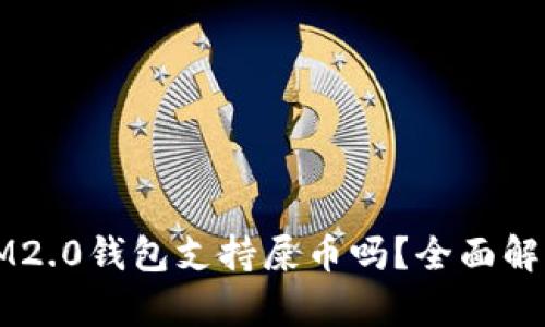 IM2.0钱包支持屎币吗？全面解析