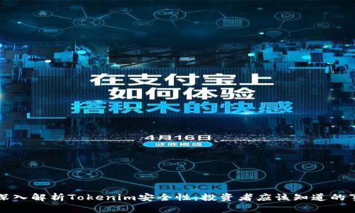 深入解析Tokenim安全性：投资者应该知道的事