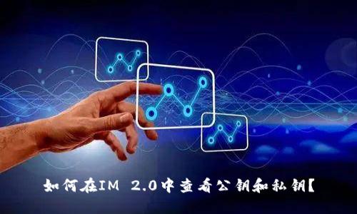 如何在IM 2.0中查看公钥和私钥？