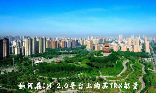   
如何在IM 2.0平台上购买TRX能量