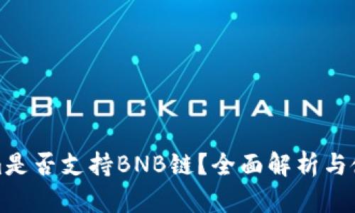 Tokenim是否支持BNB链？全面解析与使用指南