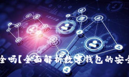 IM数字钱包安全吗？全面解析数字钱包的安全性与使用风险