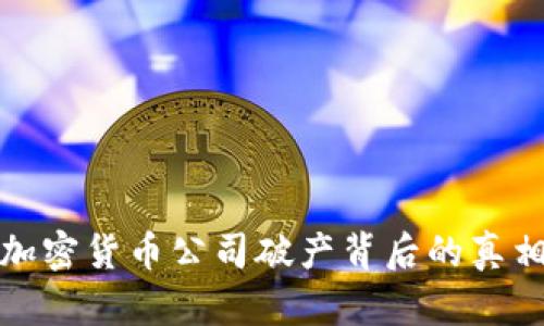 匈牙利加密货币公司破产背后的真相与影响