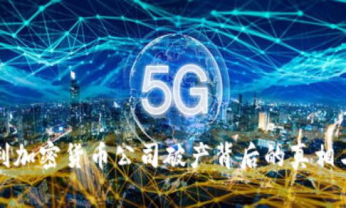 匈牙利加密货币公司破产背后的真相与影响