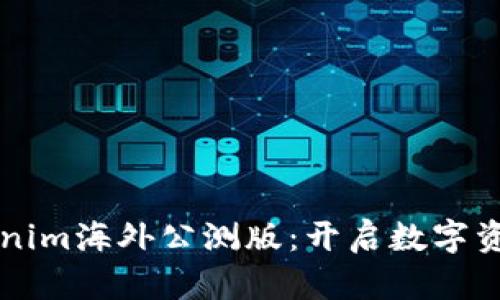 深入了解Tokenim海外公测版：开启数字资产管理新纪元