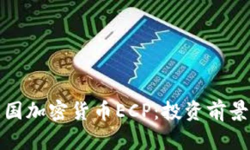 全面解析韩国加密货币ECP：投资前景与市场动态