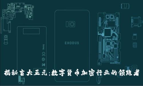揭秘吉大正元：数字货币加密行业的领跑者