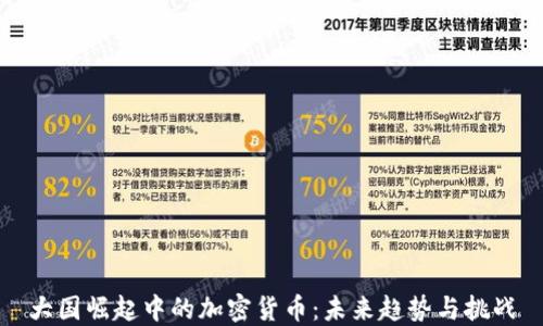 
大国崛起中的加密货币：未来趋势与挑战