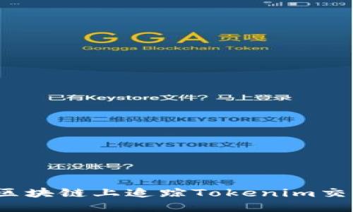 如何在区块链上追踪Tokenim交易记录？