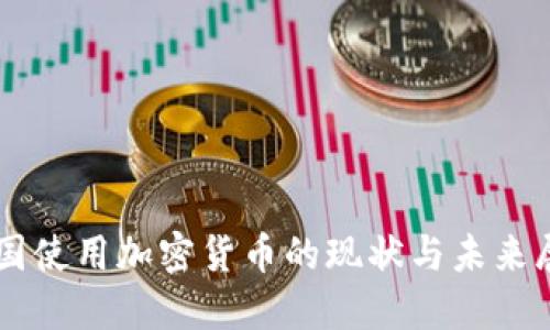 中国使用加密货币的现状与未来展望
