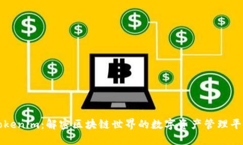 Tokenim：解密区块链世界的数字资产管理平台