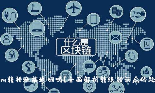 Tokenim转错账能追回吗？全面解析转账错误后的处理方案