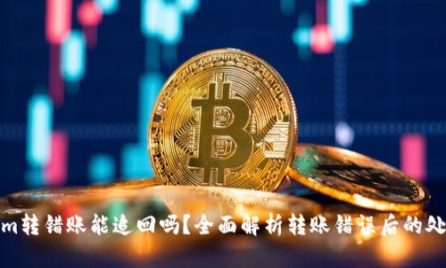 Tokenim转错账能追回吗？全面解析转账错误后的处理方案