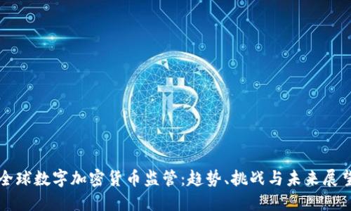 全球数字加密货币监管：趋势、挑战与未来展望