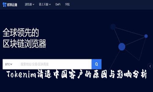 Tokenim清退中国客户的原因与影响分析