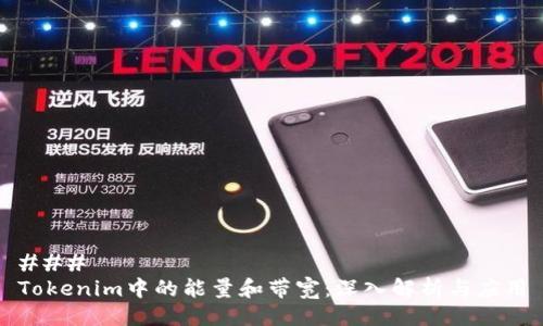 ### 
Tokenim中的能量和带宽：深入解析与应用
