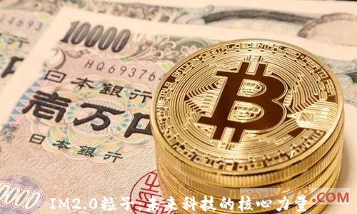 
IM2.0粒子：未来科技的核心力量