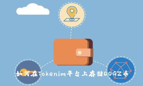 如何在Tokenim平台上存储DOGZ币