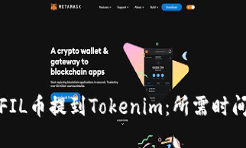 如何快速将FIL币提到Tokenim：所需时间与步骤详解