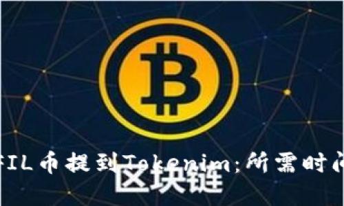 如何快速将FIL币提到Tokenim：所需时间与步骤详解