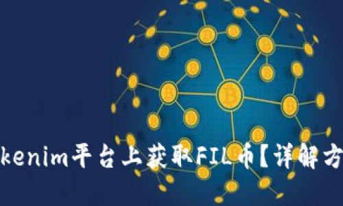 如何在Tokenim平台上获取FIL币？详解方法与步骤