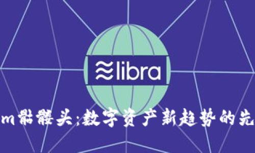 Tokenim骷髅头：数字资产新趋势的先锋之作