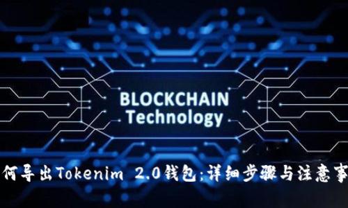 如何导出Tokenim 2.0钱包：详细步骤与注意事项