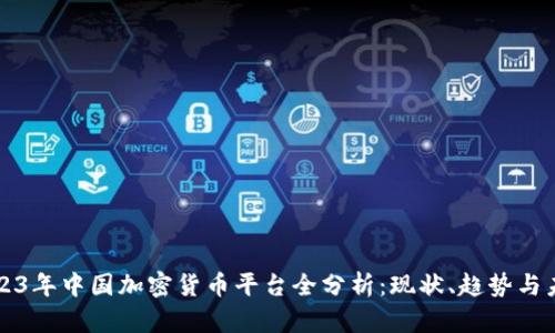 2023年中国加密货币平台全分析：现状、趋势与未来