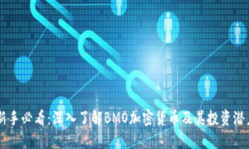 新手必看：深入了解BMO加密货币及其投资潜力