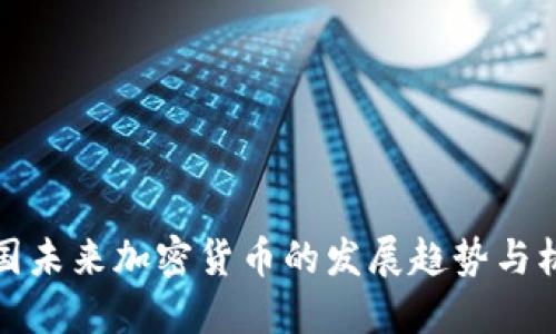 中国未来加密货币的发展趋势与机遇