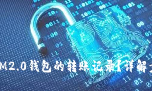 如何查询IM2.0钱包的转账记录？详解步骤与技巧
