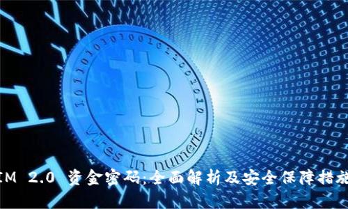 IM 2.0 资金密码：全面解析及安全保障措施