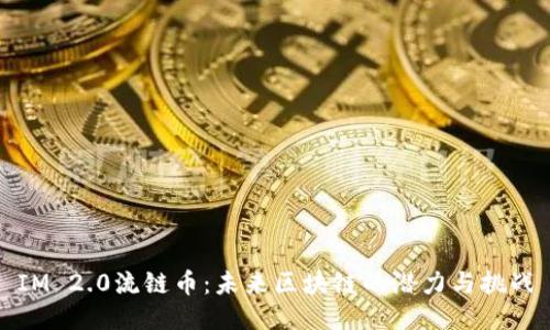 IM 2.0流链币：未来区块链的潜力与挑战