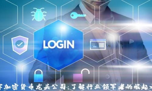 
数字加密货币龙头公司：了解行业领军者的崛起之路