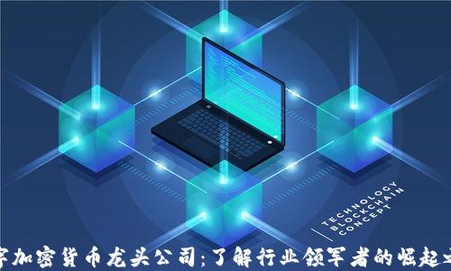 
数字加密货币龙头公司：了解行业领军者的崛起之路