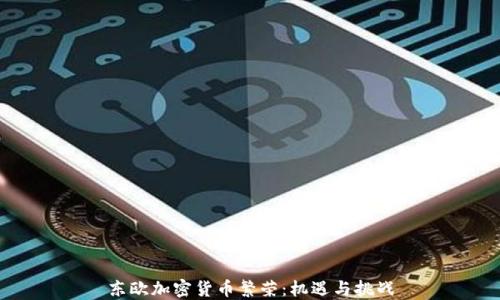
东欧加密货币繁荣：机遇与挑战