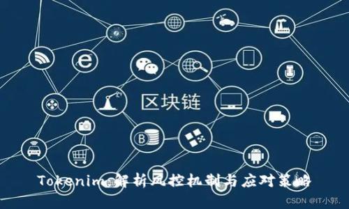 Tokenim：解析风控机制与应对策略