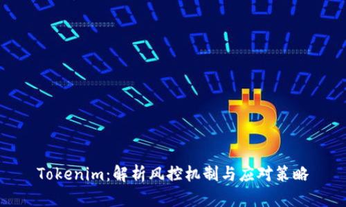 Tokenim：解析风控机制与应对策略