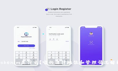 Tokenim是什么？它的法律地位和管理情况解析