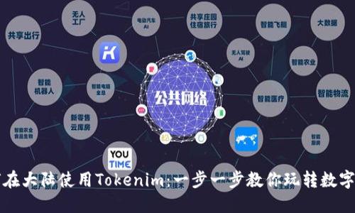 如何在大陆使用Tokenim：一步一步教你玩转数字资产