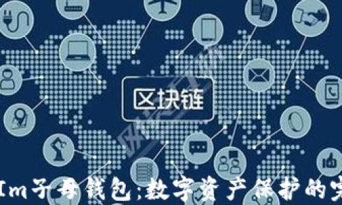 
Token Im子母钱包：数字资产保护的完美选择