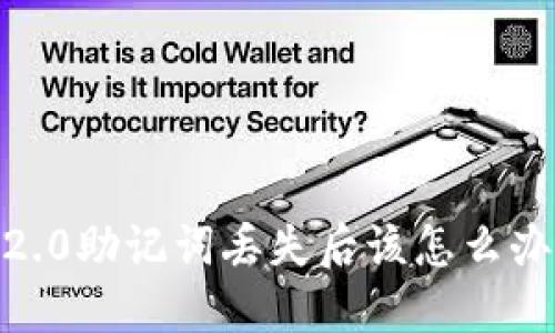 Tokenim 2.0助记词丢失后该怎么办？全面指南