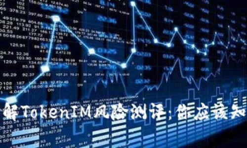 全面了解TokenIM风险测评：你应该知道的事