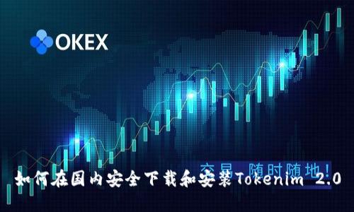如何在国内安全下载和安装Tokenim 2.0